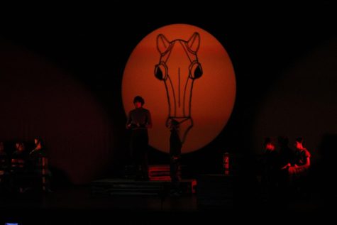 Equus - One Act Play