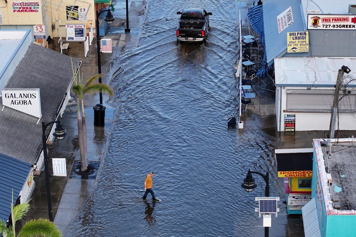 Climate Change Decimating the Lowlands