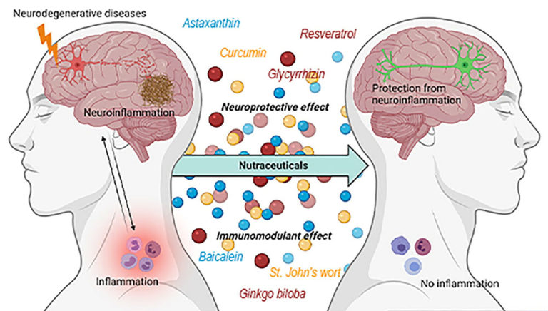 A New Hope for Neurodegenerative Diseases