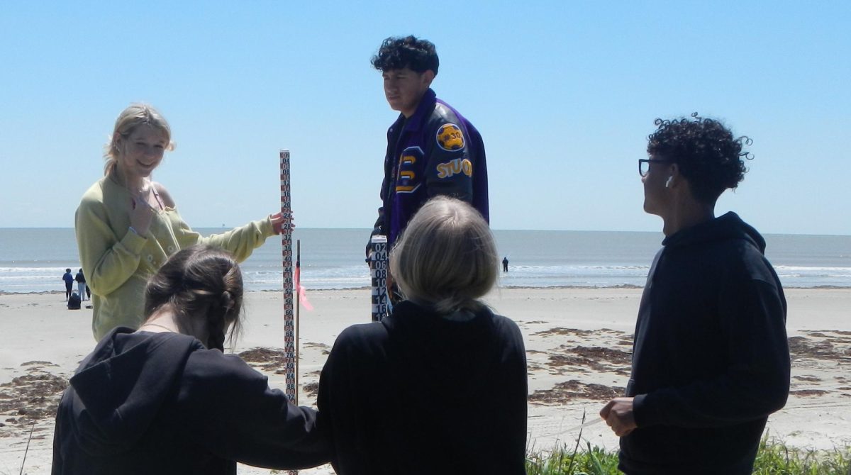 Combating Beach Erosion