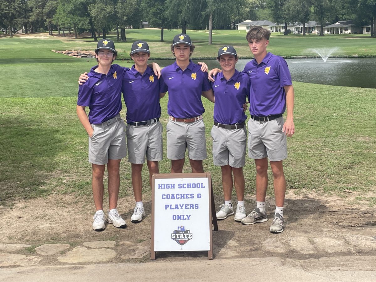 Golfers Excel in District